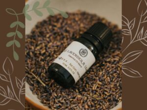 A bottle of an essential oil blend resting in a bed of herbs