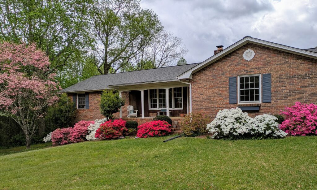 A brick house has a pink dogwood and azaleas with blooms in white and multiple shades of pink all in full bloom in front of it.